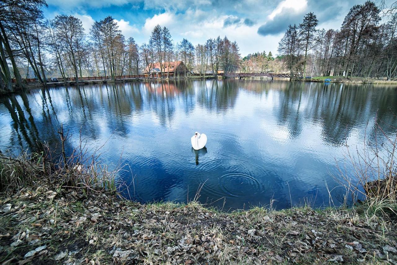 Hotel Dworek Wapionka グジノ エクステリア 写真